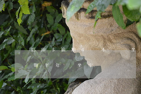 信用卡逾期4萬不還會坐牢嗎(信用卡4萬逾期半年會坐牢嗎)