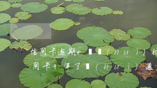 信用卡逾期4萬會(huì)被通緝嗎(欠信用卡3年了會(huì)通緝嗎)
