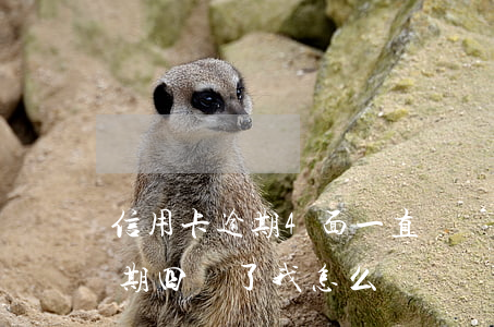 信用卡逾期4面一直沒還-怎么辦信用卡逾期四萬了我怎么辦