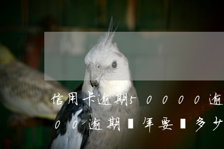 信用卡逾期50000逾期2年(信用卡5000逾期兩年要還多少)
