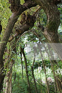 信用卡逾期5000一年后果 信用卡5000逾期1年