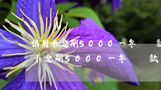 信用卡逾期5000一年沒還款后果-信用卡逾期5000一年沒還款后果會怎樣
