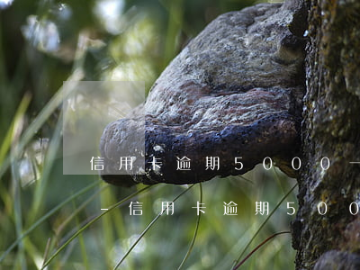 信用卡逾期5000一月嚴(yán)重嗎-信用卡逾期5000一月嚴(yán)重嗎會(huì)怎樣
