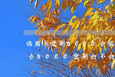 信用卡逾期5000会被起诉坐牢吗-信用卡5000逾期会不会坐牢
