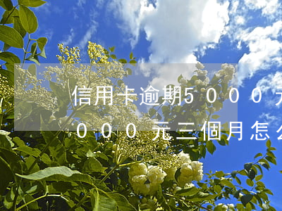 信用卡逾期5000元三個月(信用卡逾期5000元三個月怎么還)