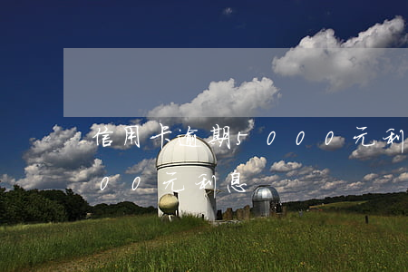 信用卡逾期5000元利息(信用卡逾期5000元利息)