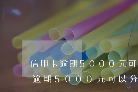 信用卡逾期5000元可以分期嗎-信用卡逾期5000元可以分期嗎