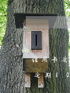 信用卡逾期5000元會(huì)(信用卡逾期500元以下)