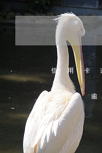 信用卡逾期5000元會怎么樣 信用5萬以上卡逾期會怎么樣