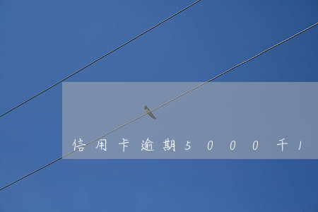 信用卡逾期5000千1年沒(méi)還