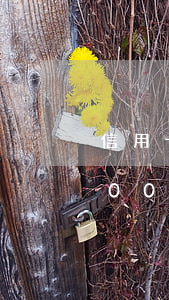 信用卡逾期5000塊4年(信用卡逾期5000塊4年利息)
