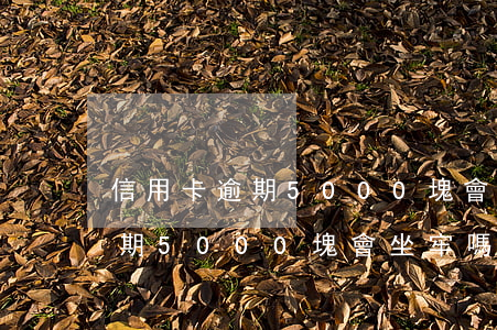 信用卡逾期5000塊會坐牢嗎-信用卡逾期5000塊會坐牢嗎知乎