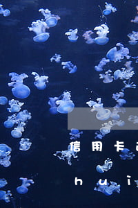 信用卡逾期5000塊錢(qián)會(huì)坐牢嗎-信用卡逾期5000塊錢(qián)會(huì)坐牢嗎知乎