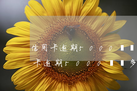信用卡逾期5000塊錢多久會坐牢-信用卡逾期5000塊錢多久會坐牢呢