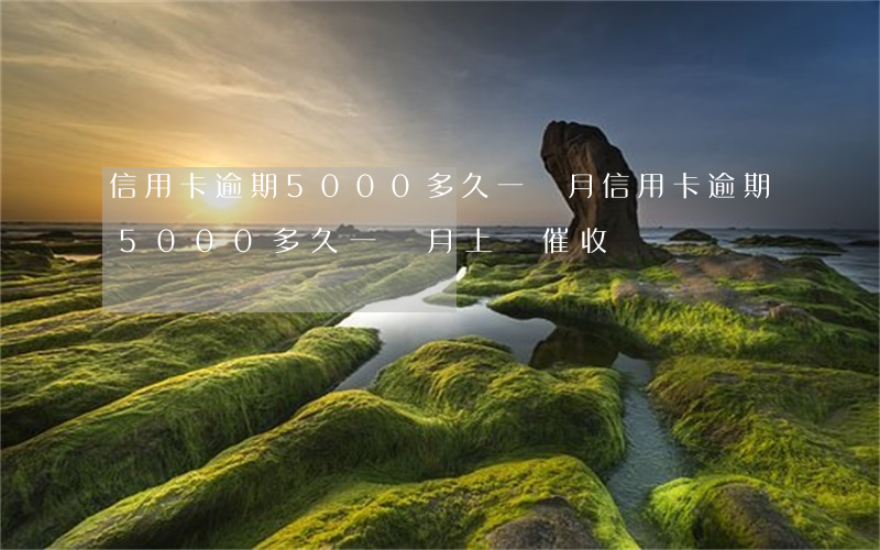 信用卡逾期5000多久一個月(信用卡逾期5000多久一個月上門催收)