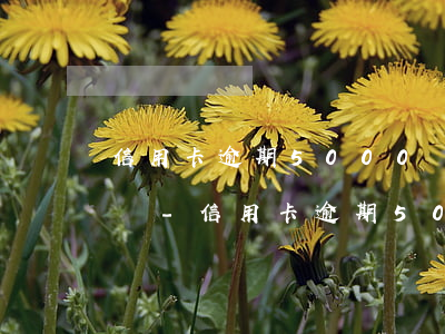 信用卡逾期5000會被凍結(jié)卡嗎-信用卡逾期5000會被凍結(jié)卡嗎知乎