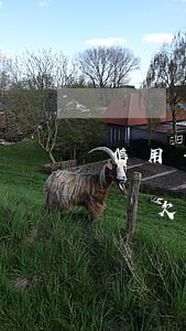 信用卡逾期5000會被凍結(jié)卡嗎(欠信用卡逾期會凍結(jié)銀行卡嗎)