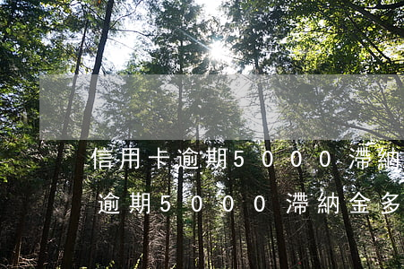 信用卡逾期5000滯納金多少錢-信用卡逾期5000滯納金多少錢啊