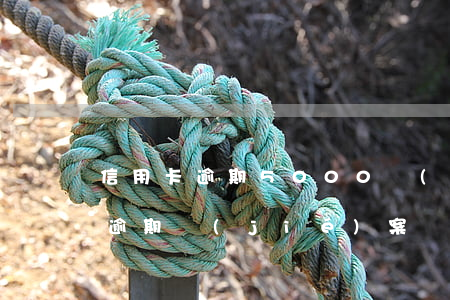 信用卡逾期5000結(jié)案(信用卡逾期結(jié)案處理什么意思)