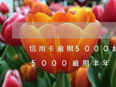 信用卡逾期5000給起訴了怎么辦(信用卡5000逾期半年)