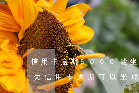 信用卡逾期5000能坐飛機(jī)嗎-欠信用卡逾期可以坐飛機(jī)嗎