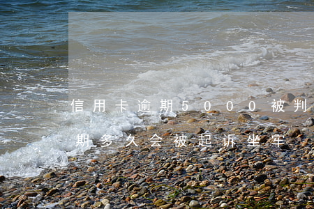 信用卡逾期5000被判(信用卡5000逾期多久会被起诉坐牢)