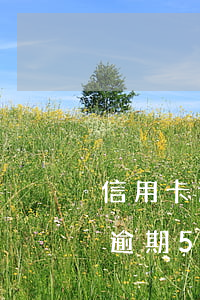 信用卡逾期5000被起訴立案嗎-信用卡逾期5000被起訴立案嗎會(huì)怎么樣
