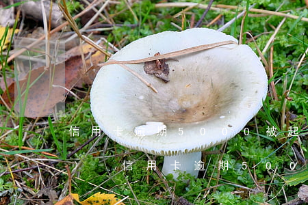 信用卡逾期5000被起訴要2萬(wàn)-信用卡逾期5000被起訴要2萬(wàn)怎么辦