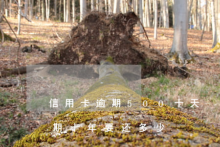 信用卡逾期500十天-信用卡500块逾期十年要还多少
