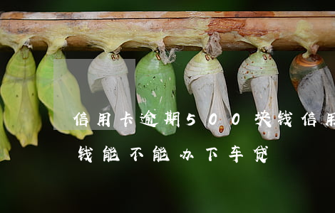 信用卡逾期500块钱(信用卡逾期500块钱能不能办下车贷)