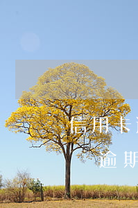 信用卡逾期50個(gè)月(信用卡50塊錢逾期了有問題嗎)
