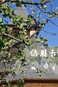 信用卡逾期50元未還-信用卡50元沒(méi)還
