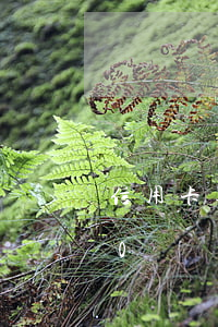 信用卡逾期50塊錢半個月了(信用卡逾期50塊錢半個月了怎么辦)