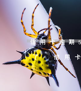信用卡逾期50多塊錢(qián)忘記還了-信用卡逾期50多塊錢(qián)忘記還了怎么辦