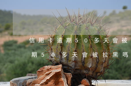 信用卡逾期50多天會被拉黑嗎-信用卡逾期50多天會被拉黑嗎怎么辦