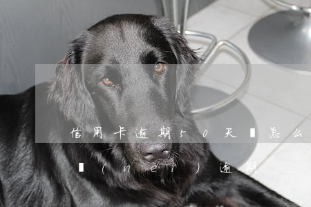 信用卡逾期50天會怎么樣(信用卡30天以內(nèi)逾期)