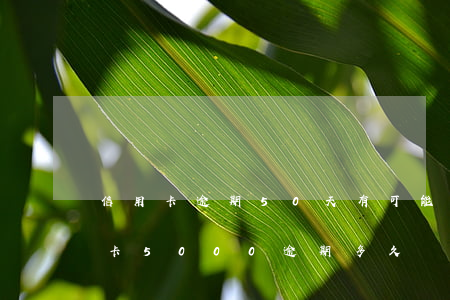 信用卡逾期50天有可能被寄傳票嗎-信用卡5000逾期多久會(huì)找上門
