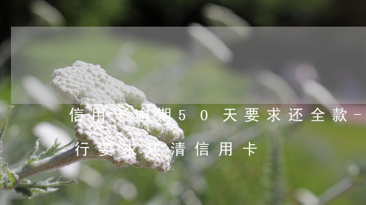 信用卡逾期50天要求还全款-逾期十天银行要求还清信用卡