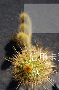 信用卡逾期50天還款(信用卡逾期50天還款)