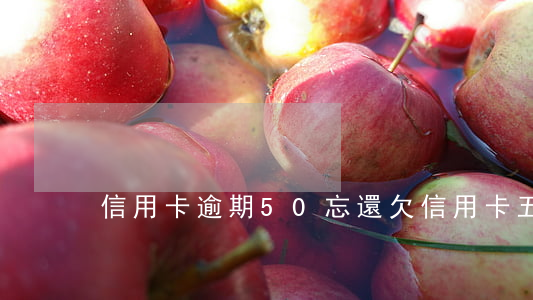 信用卡逾期50忘還(欠信用卡五十萬逾期了)