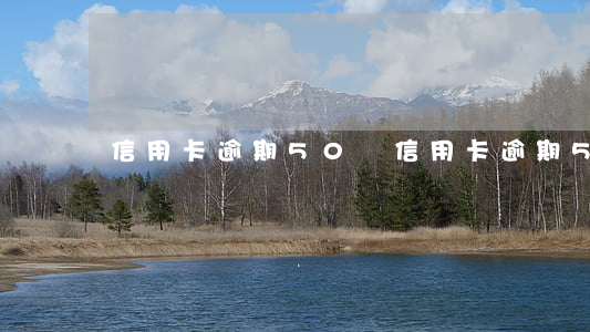 信用卡逾期50萬(信用卡逾期50萬)