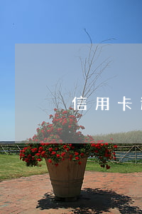 信用卡逾期52天会催款吗(信用卡逾期4天)