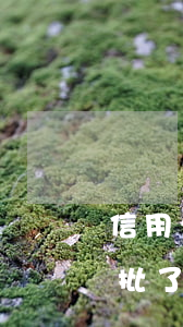 信用卡逾期52次貸款買房(逾期43次房貸批了)
