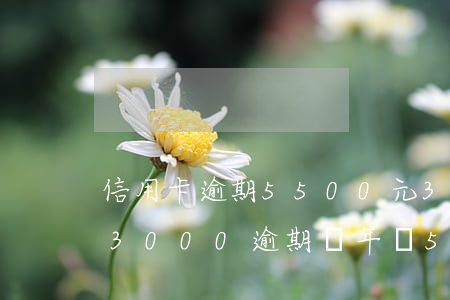 信用卡逾期5500元3年怎么辦-信用卡3000逾期兩年還5000
