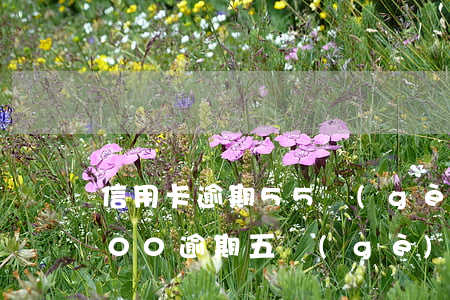 信用卡逾期55個(gè)月(信用卡10000逾期五個(gè)月)