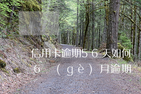 信用卡逾期56天如何計(jì)算(信用卡6個(gè)月逾期)