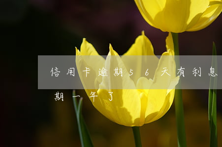信用卡逾期56天有利息嗎(欠信用卡6萬逾期一年了)