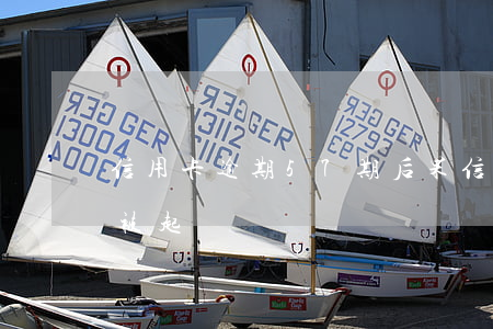 信用卡逾期57期后果(信用卡逾期6個月會被起訴嗎)