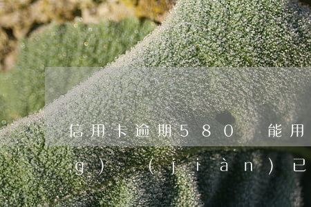 信用卡逾期580還能用嗎(孕婦夢(mèng)見(jiàn)已經(jīng)去世的爺爺是什么意思)
