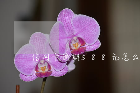 信用卡逾期588元怎么辦(傾聽的技巧ppt)